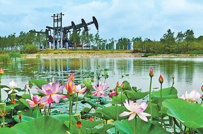 人民日報(bào)：大慶為何青春常在